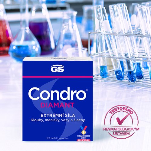 Obrázek GS Condro DIAMANT 120 tablet (7)