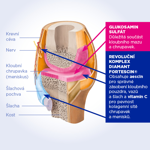 Obrázek GS Condro DIAMANT 120 tablet (8)