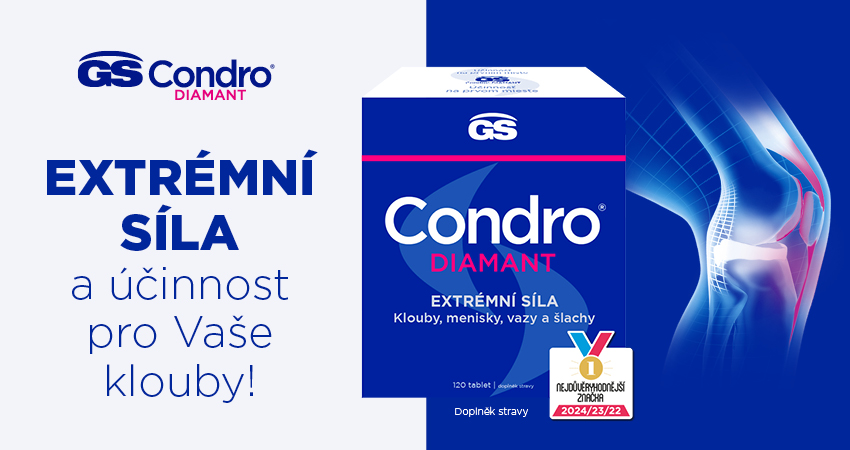 Obrázek GS Condro DIAMANT 120 tablet