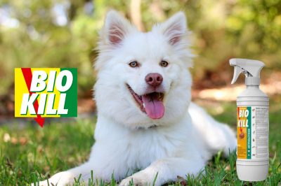 Obrázek BIO KILL Insekticid sprej 450 ml