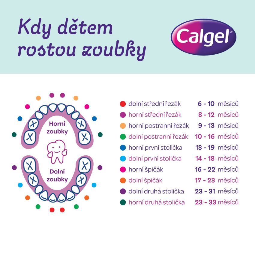 Obrázek CALGEL Ústní gel 10 g (2)