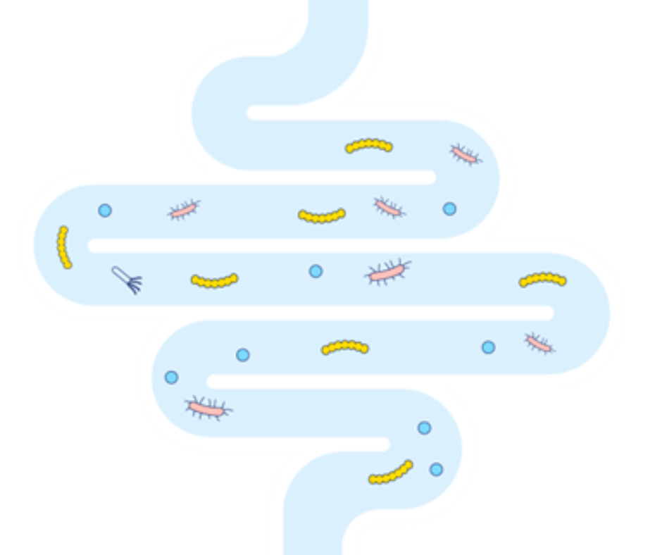 Obrázek ENTEROL 250 mg 10 tobolek (3)