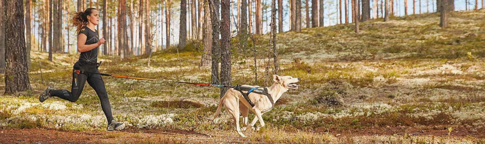 Obrázek NON-STOP Dogwear Freemotion postroj pro psy 1 ks